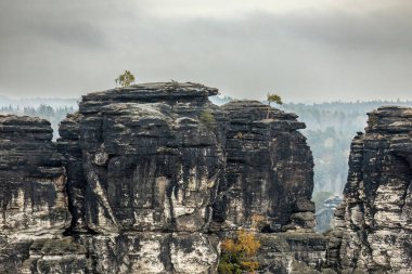 Sakson İsviçre Ulusal Parkı 'ndaki Bastei Köprüsü yakınlarında kaya oluşumları, Almanya