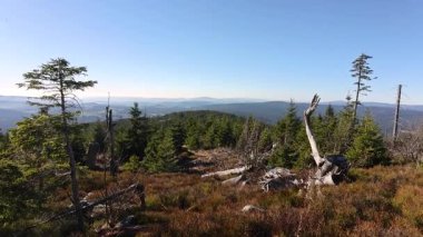 Almanya 'nın Bavyera Ormanı' ndaki Dreisessel Dağı 'nda sonbahar manzarası ve bitki örtüsü, güneşli havalarda yakınlaşıp uzaklaşıyor.