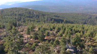 Hochstein 'dan renkli ağaçları ve açık ufku olan Bavyera Ormanı' na bakan Dreisessel Dağı 'nın güneşli sonbahar manzarası