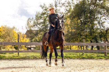 Kadınlar terzilik yapıyor, açık havada körfez sıcacık atlarıyla, İngiliz binicilik stili sonbahar güneşinde..
