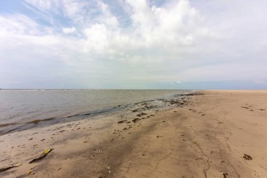 Kuzey Denizi kıyısında bulutlu bir gökyüzünün altında uçsuz bucaksız kumlu bir sahil.