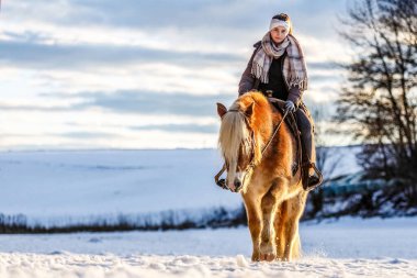Haflinger atındaki genç binici gün batımında karlı bir arazide huzurlu bir kış yolculuğunun tadını çıkarıyor.