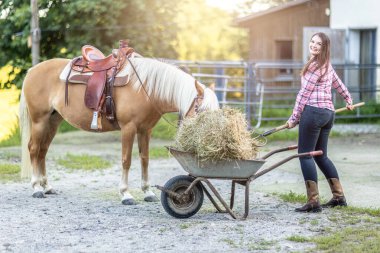 Genç at sahibi onun Haflinger 'ı için saman yüklüyor, sakin sakin ev işleri yumuşak akşam ışığında ve rahat batı atmosferinde