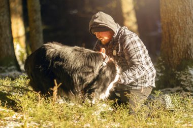 Erkek, karlı ormanda Collie ile diz çöker, kış tatili sırasında sıcak bir etkileşim paylaşır.