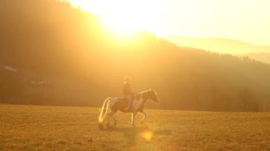 Bir kadın açık bir çayırda atını sürüyor, sakin hareketlerin ve geniş doğal manzaranın tadını çıkarıyor.