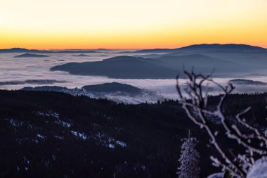 Sis dolu vadiler ve karlı orman tepeleri üzerinde altın şafak ışığı. Korunmuş ulusal park arazisindeki dağ zirvelerinden görülebiliyor.