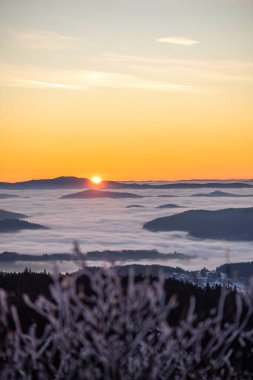 Sis dolu vadiler ve karlı orman tepeleri üzerinde altın şafak ışığı. Korunmuş ulusal park arazisindeki dağ zirvelerinden görülebiliyor.