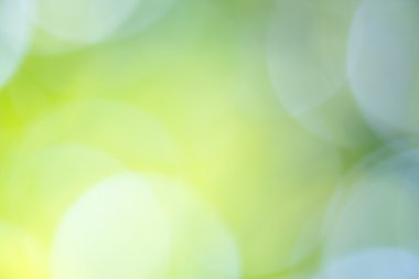 Yeşil bokeh arka plan