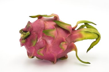 Dragon meyve (Pitaya)
