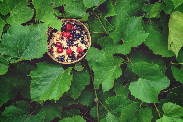 Fulgi de ovăz gătite cu fructe pe un fundal de frunze verzi — Fotografie, imagine de stoc