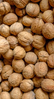 birçok fındık kabuğu. Doku, arka plan