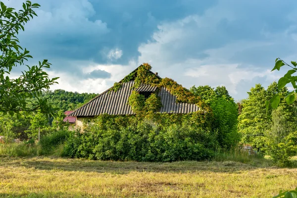 Le vieux bâtiment est envahi par les raisins sauvages . — Photo