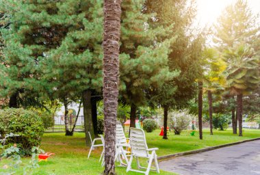 Palmiye ağaçları ve bir çocuk bahçesi ile veranda