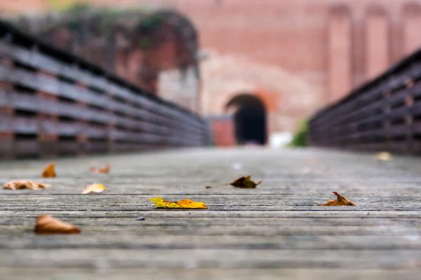 Droge Herfstblad op de weg van de planken. onscherpe achtergrond. Ondiepe scherptediepte. — Stockfoto