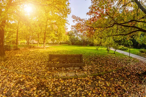 Parque de Otoño cubierto con hojas amarillas y banco. Tonificación — Foto de Stock