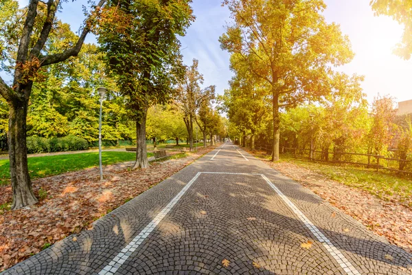 Parque de Otoño cubierto de hojas amarillas y puente de piedra.Tonificación — Foto de Stock