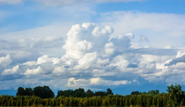 Dicke Wolken vor dem Hintergrund der Natur — Stockfoto