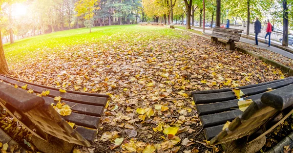 Dos bancos cubiertos de hojas amarillas en otoño Park.Toning — Foto de Stock