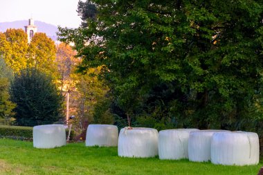Bir beyaz yuvarlak balya saman bavul