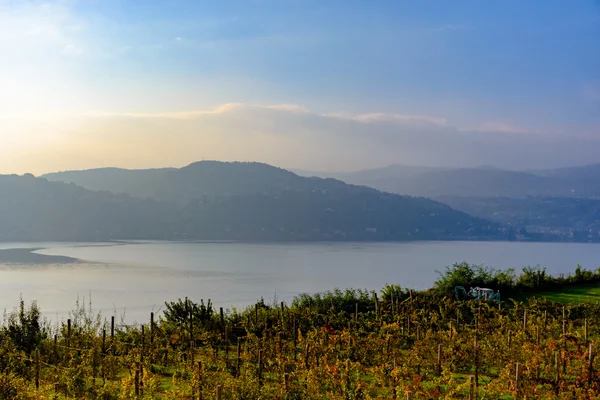 Een prachtige zonsondergang over wijngaard met uitzicht op het meer en de bergen. — Stockfoto