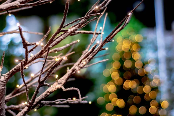 Ветви Деревьев Украшены Гирляндами Новогодними Игрушками — стоковое фото