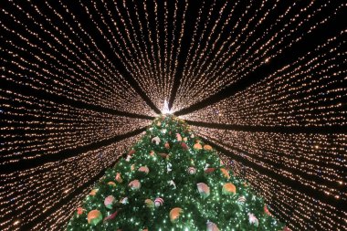 Noel ağacı çelenklerle kaplı.