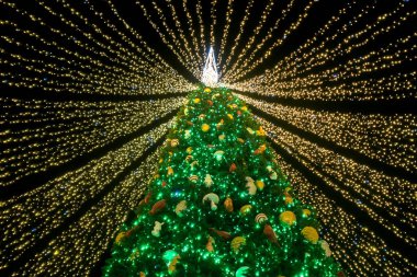 Noel ağacı çelenklerle kaplı..