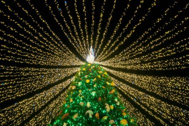 Noel ağacı çelenklerle kaplı..