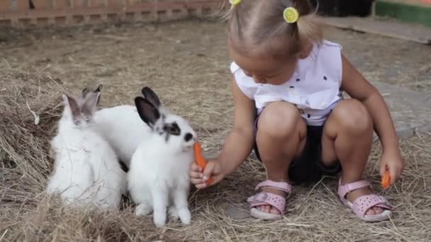 Roztomilá holčička krmení králíků z ruky — Stock video