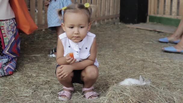 Linda niña comer zanahoria con conejos — Vídeo de stock