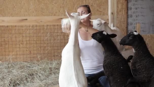 Mujeres jóvenes alimentando ovejas y cabras de la mano — Vídeos de Stock