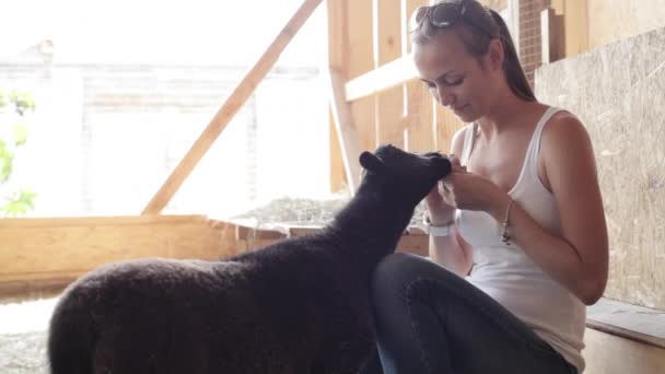 Молодые женщины кормят овец из рук — стоковое видео