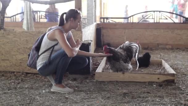 年轻妇女从棕榈喂养小鸡 — 图库视频影像