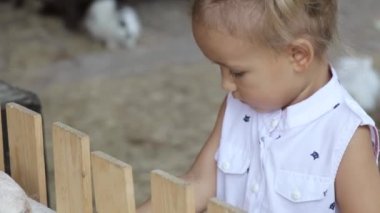 Şirin Bebek kız koyun elleri besleme