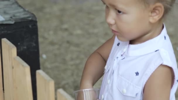 Linda niña alimentando ovejas de sus manos — Vídeo de stock