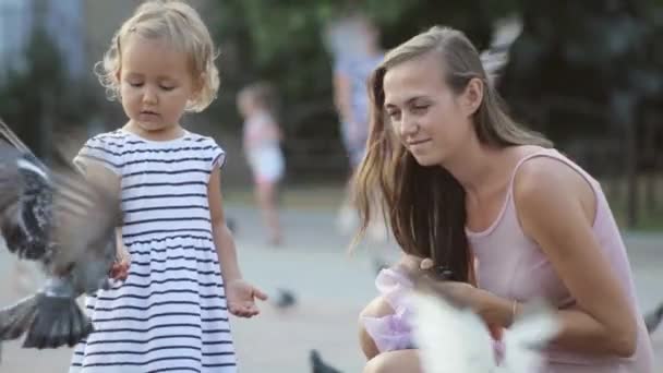 Mãe e menina em um parque alimentando pombos . — Vídeo de Stock