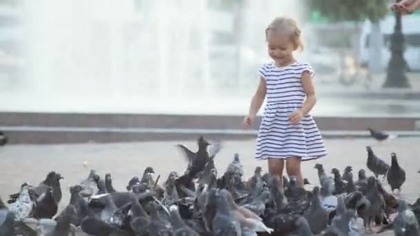 Schattig meisje feeds duiven in de buurt van fontein — Stockvideo