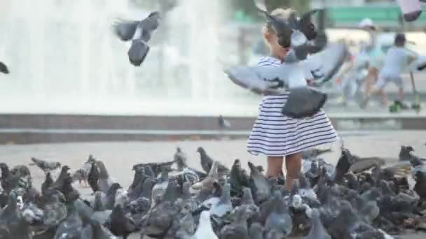 Kleines süßes Mädchen füttert Tauben in der Nähe des Brunnens — Stockvideo
