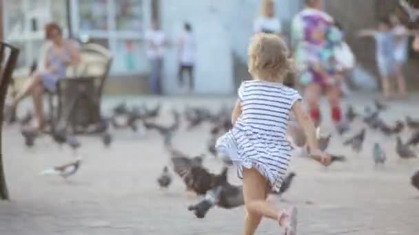 Menina corre através de um grande grupo de pombos . — Vídeo de Stock