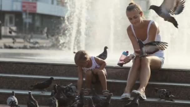 Mãe e menina em um parque alimentando pombos . — Vídeo de Stock