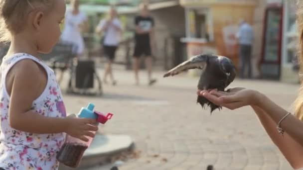 Mor och liten flicka i en park som matar duvor. — Stockvideo