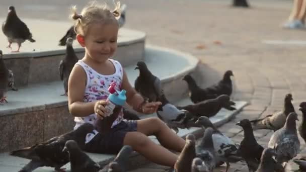 Το μικρό χαριτωμένο κορίτσι περιστέρια τρέφεται κοντά σε σιντριβάνι — Αρχείο Βίντεο
