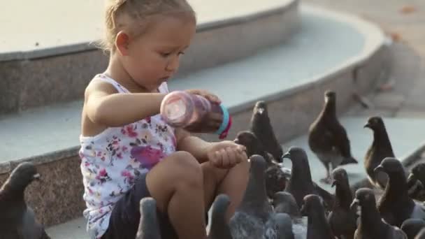 Schattig meisje feeds duiven in de buurt van fontein — Stockvideo