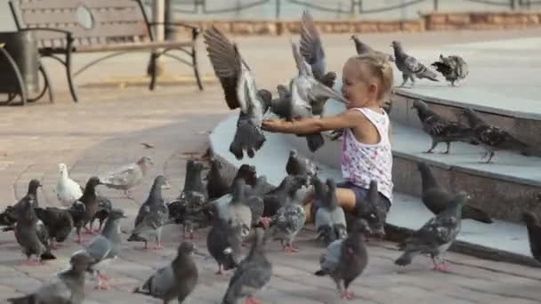 Little cute girl feeds pigeons near fountain — Stock Video