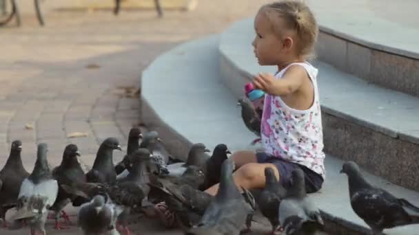 Το μικρό χαριτωμένο κορίτσι περιστέρια τρέφεται κοντά σε σιντριβάνι — Αρχείο Βίντεο