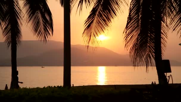 Plan silhouette de la plage avec soleil levant . — Video