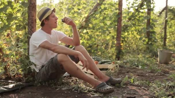 Фафмер сидит и ест свежий огурец — стоковое видео