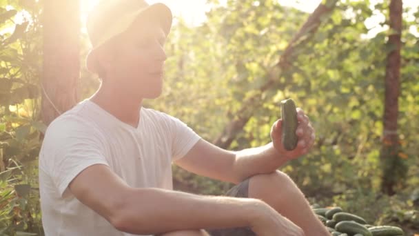 Fafmer sentado y comiendo pepino fresco — Vídeo de stock