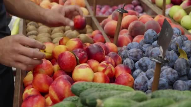 Крупним планом продуктовий працівник розміщує органічні фрукти на полицях магазинів . — стокове відео
