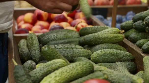 Detailní záběr rukou pracovníků v obchodě s potravinami aranžuje okurky na regálech skladu — Stock video